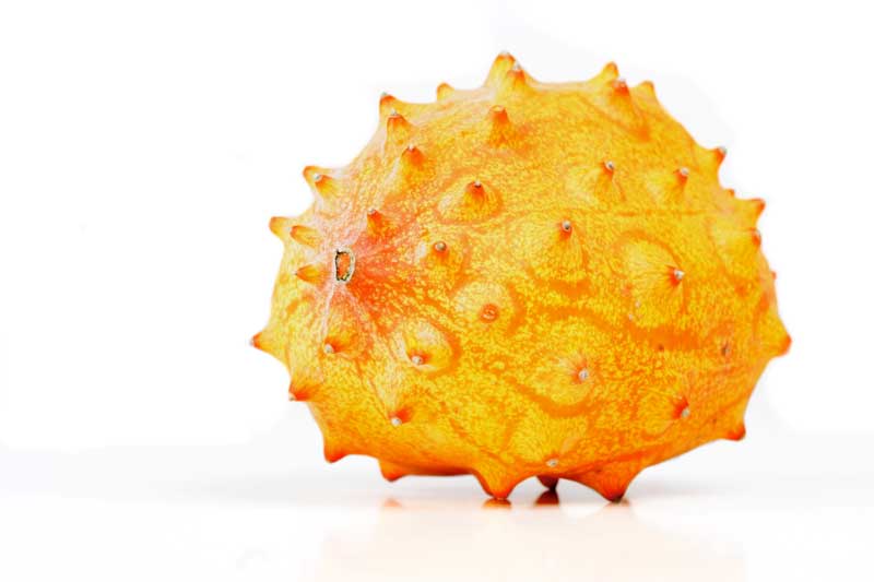 An orange spiny fruit of the kiwano, also called horned cucumber 