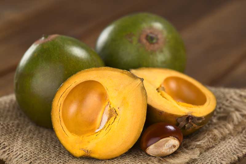 The green fruit of the lucuma visually reminds of an avocado