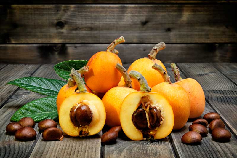 The bright orange fruits of the loquat look like peaches with chestnuts in the core. 