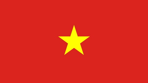 The Vietnamese Flag